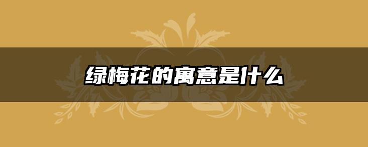绿梅花的寓意是什么
