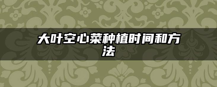 大叶空心菜种植时间和方法