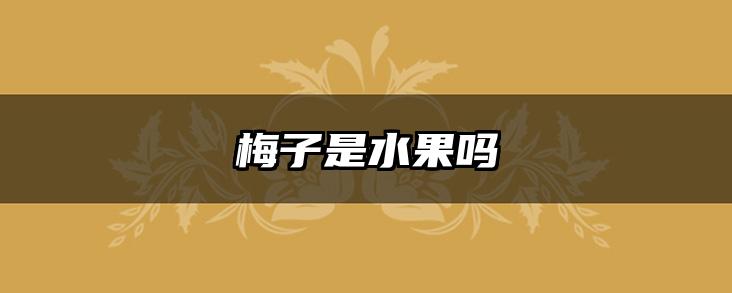 梅子是水果吗