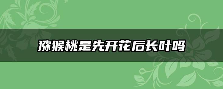 猕猴桃是先开花后长叶吗