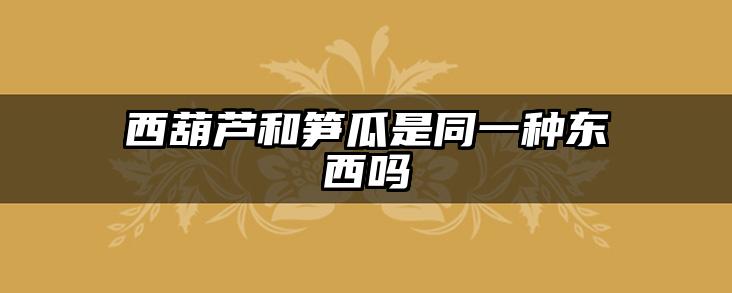 西葫芦和笋瓜是同一种东西吗