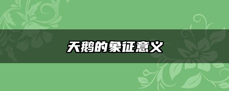 天鹅的象征意义