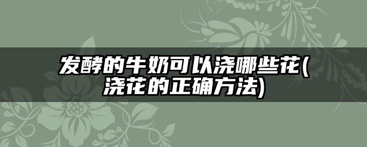 发酵的牛奶可以浇哪些花(浇花的正确方法)