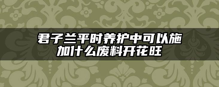 君子兰平时养护中可以施加什么废料开花旺