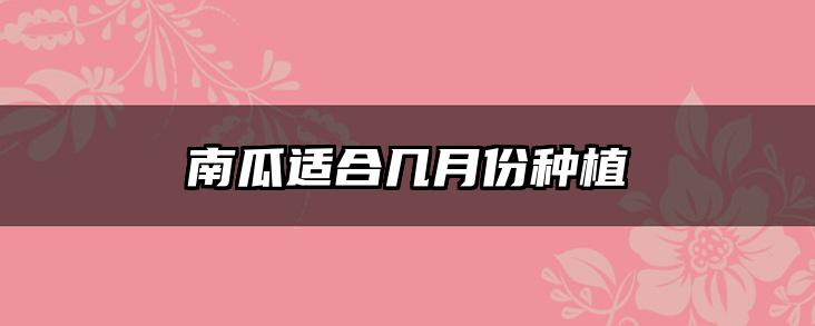 南瓜适合几月份种植