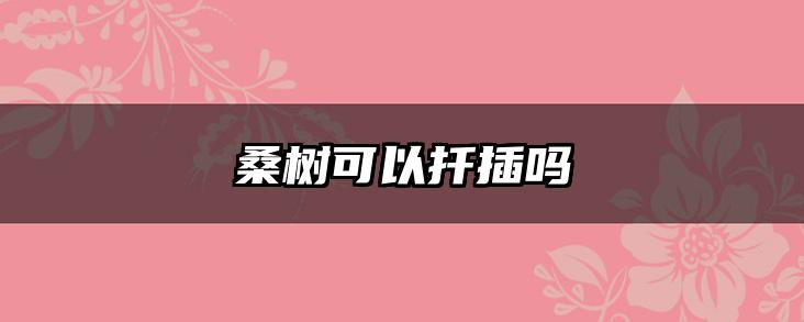 桑树可以扦插吗