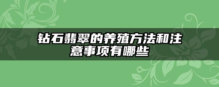 钻石翡翠的养殖方法和注意事项有哪些