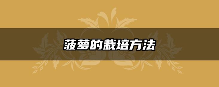 菠萝的栽培方法