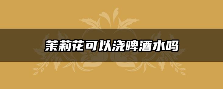 茉莉花可以浇啤酒水吗