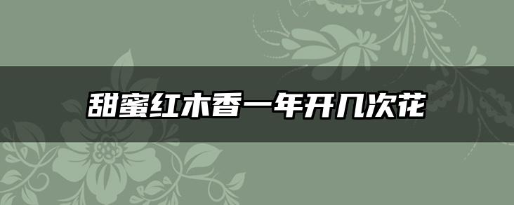 甜蜜红木香一年开几次花