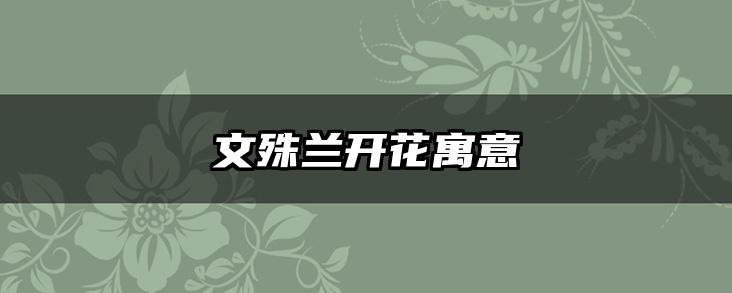 文殊兰开花寓意