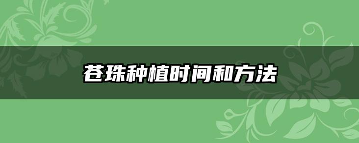 苍珠种植时间和方法