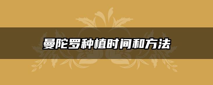 曼陀罗种植时间和方法