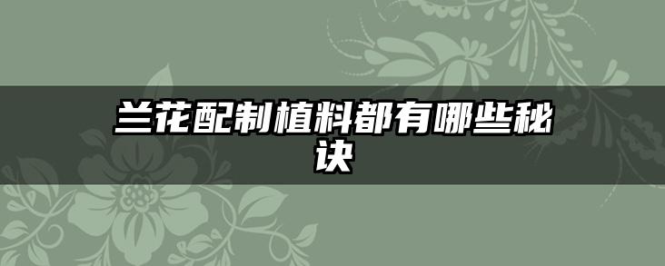兰花配制植料都有哪些秘诀