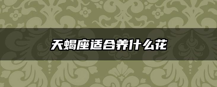 天蝎座适合养什么花