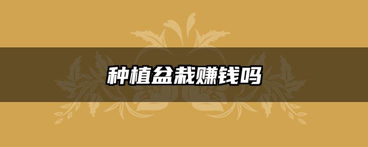 种植盆栽赚钱吗