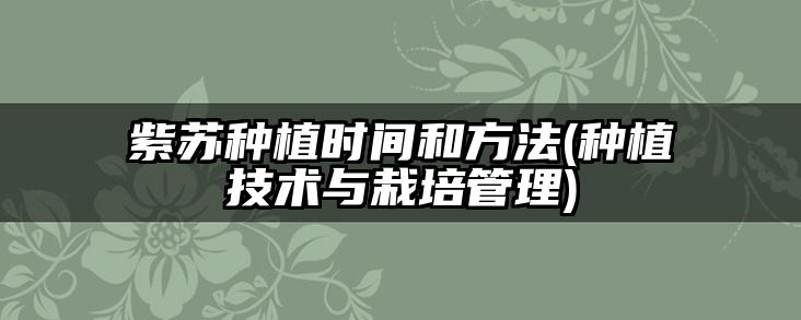 紫苏种植时间和方法(种植技术与栽培管理)