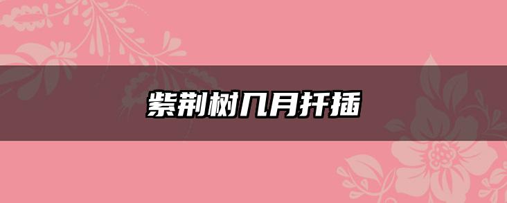 紫荆树几月扦插
