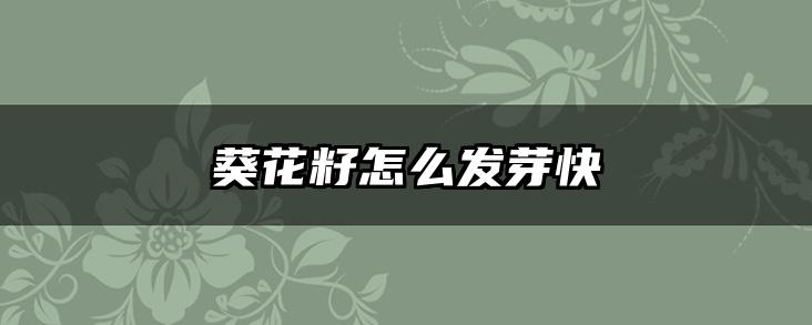 葵花籽怎么发芽快