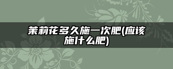 茉莉花多久施一次肥(应该施什么肥)