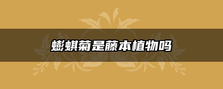 蟛蜞菊是藤本植物吗