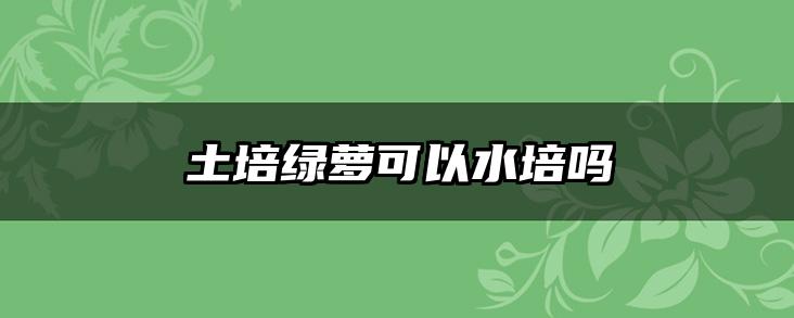 土培绿萝可以水培吗