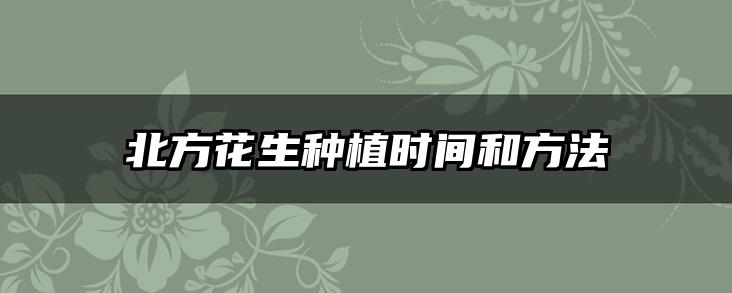 北方花生种植时间和方法