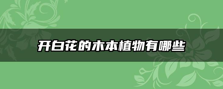 开白花的木本植物有哪些