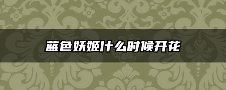 蓝色妖姬什么时候开花