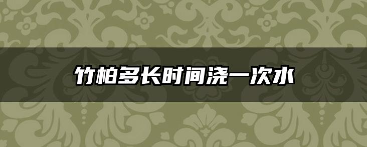 竹柏多长时间浇一次水