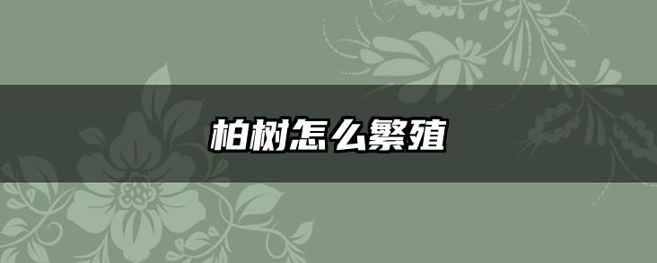 柏树怎么繁殖