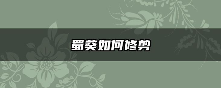 蜀葵如何修剪