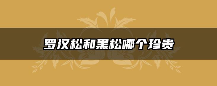 罗汉松和黑松哪个珍贵