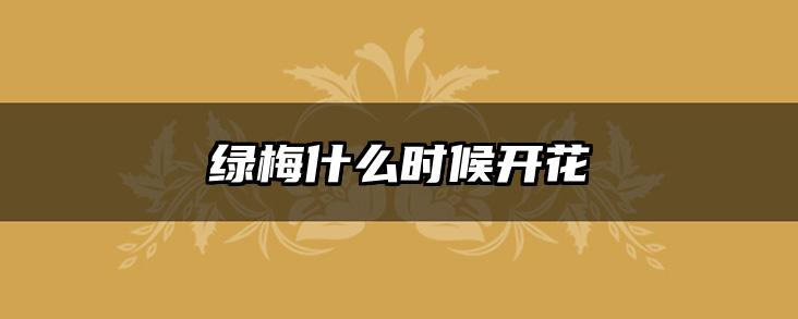 绿梅什么时候开花