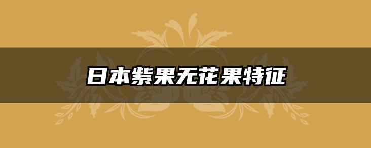 日本紫果无花果特征