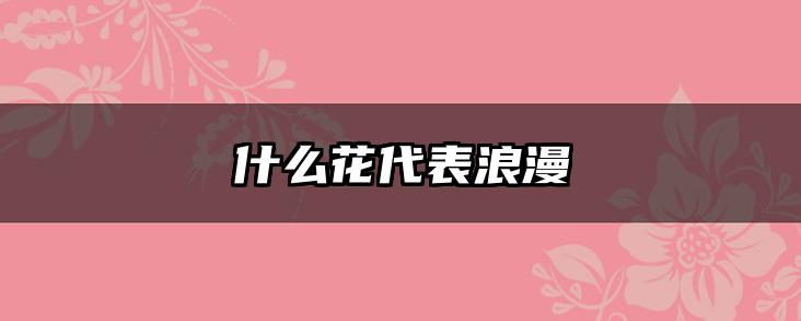 什么花代表浪漫