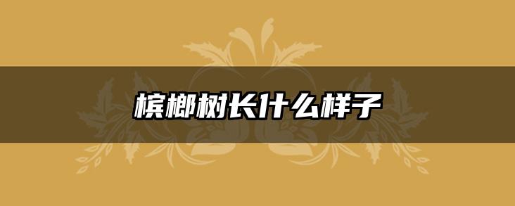 槟榔树长什么样子
