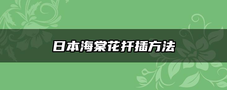 日本海棠花扦插方法