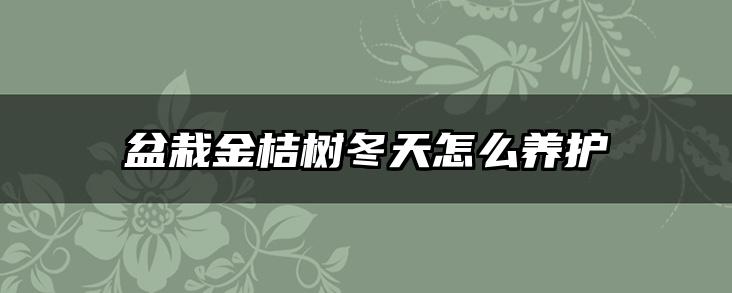 盆栽金桔树冬天怎么养护