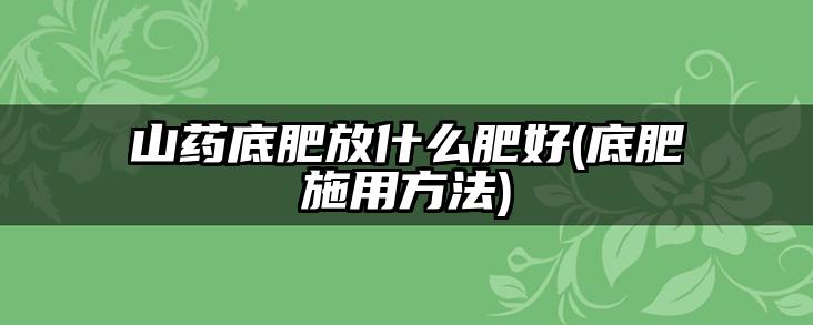 山药底肥放什么肥好(底肥施用方法)
