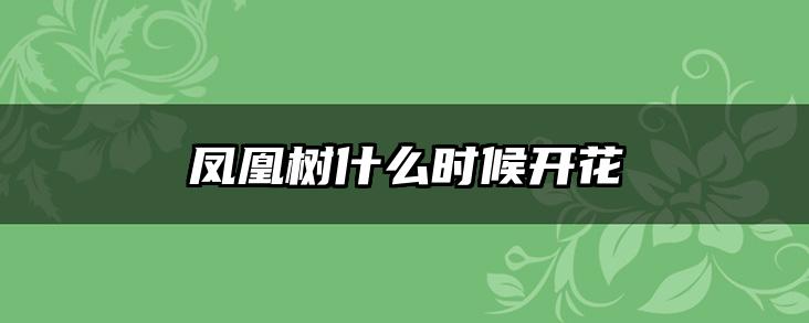 凤凰树什么时候开花