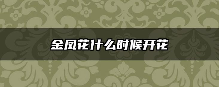 金凤花什么时候开花