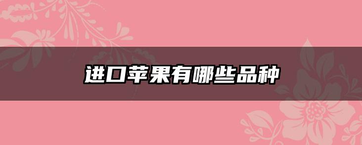 进口苹果有哪些品种