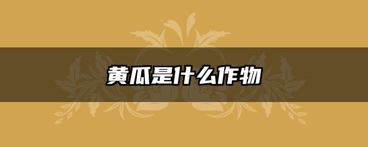黄瓜是什么作物