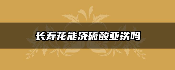 长寿花能浇硫酸亚铁吗