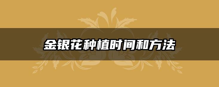 金银花种植时间和方法