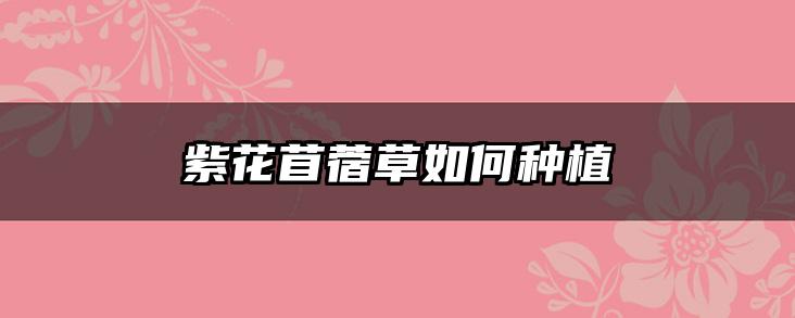 紫花苜蓿草如何种植