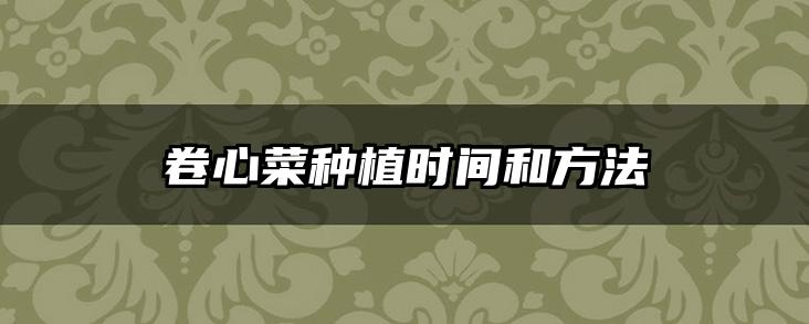 卷心菜种植时间和方法