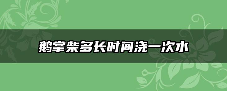 鹅掌柴多长时间浇一次水