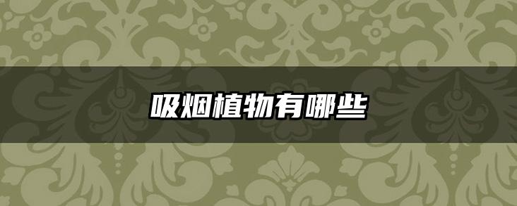 吸烟植物有哪些
